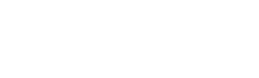 Logo Levanna blanc